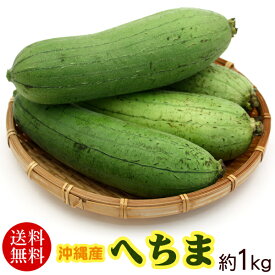 楽天市場 へちま 食品 の通販