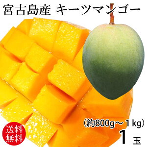 �{�Ó��Y�L�[�c�}���S�[1�ʁi��800g�`1kg�j �y���������z