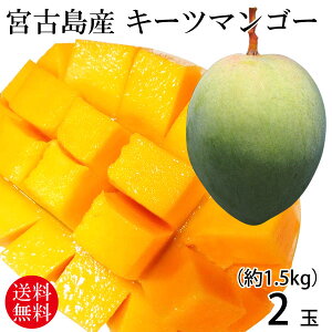�{�Ó��Y�L�[�c�}���S�[ 2�ʁi��1.5kg�j�y���������z