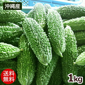 沖縄産 ゴーヤー 約1kg（3〜4本）　/沖縄野菜 にがうり【送料無料】