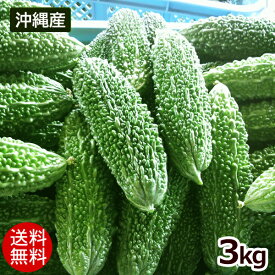沖縄産 ゴーヤー 約3kg（10〜15本）【送料無料】［冷蔵発送］