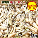 島らっきょう 生 1kg （在庫処分セール・おまけの塩付き）　/ 沖縄野菜 伊江島産 数量限定【送料無料】