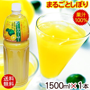 ܖ 26.02.18@V[N[T[ ܂邲Ƃڂ 1500ml×1{ iY V[N[T[W[X ʏ`100 t uh mr`jyz