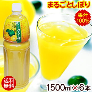 ܖ 26.02.18@V[N[T[ ܂邲Ƃڂ 1500ml×6{ iY V[N[T[W[X ʏ`100 t uh mr`jyz