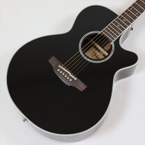 楽天市場】takamine ハードケースの通販