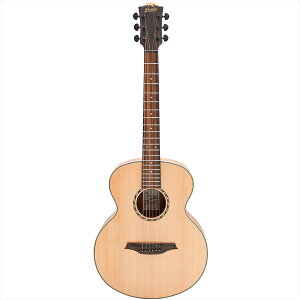 Bromo Guitars�@APPALACHIA SERIES BAA8S