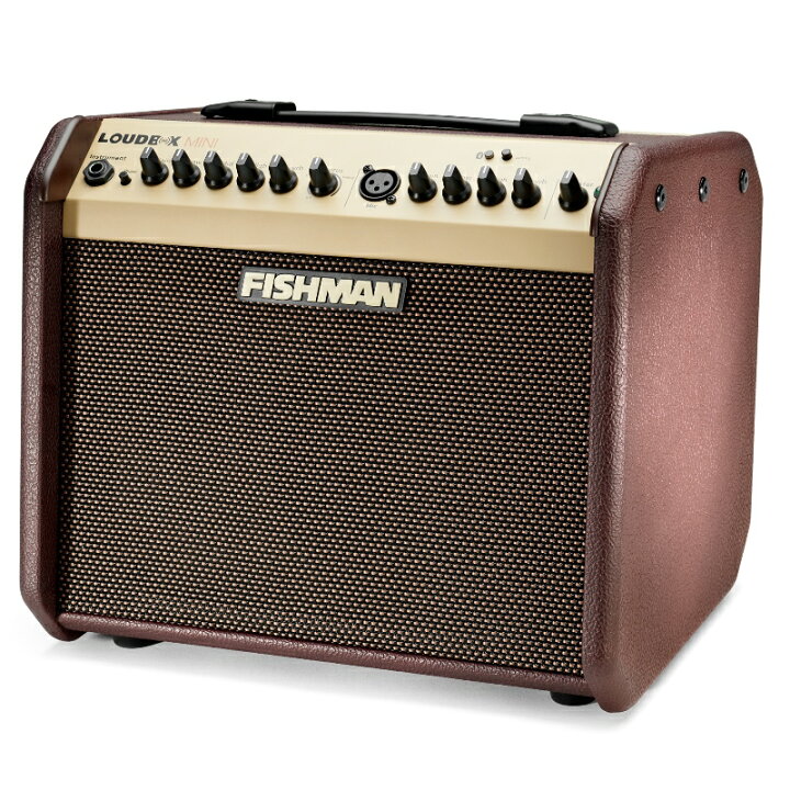 楽天市場】FISHMAN Loudbox Mini Bluetooth エレアコアンプ : 松田楽器天