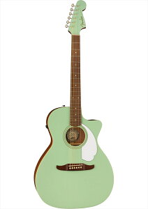 Fender�@Newporter Player Surf Green