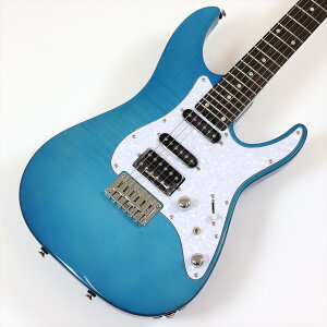 SCHECTER@OL-BH-FM-FXD/ILB