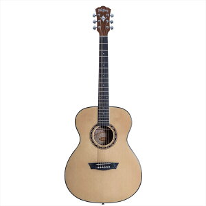Washburn Guitars�@Apprentice Series F5