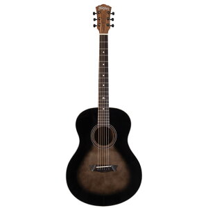 Washburn Guitars�@Bella Tono Series NOVO S9