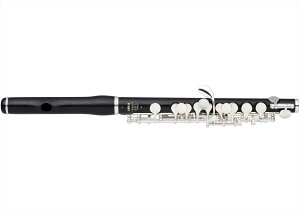 YAMAHA@vtFbVif YPC-62R