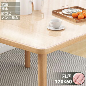 e[u}bg NA   Eh~ p R hJr ~ ϔM ȒP یV[g RɃJbg G{XH [\ 1.5mm fXN}bg }bg 120×60cm