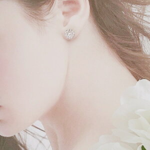 NX^KX2weysAXCO AM[Ή nhChsAX CO 1_^bZ NX^KXAWXg _ av[g Mtg 蕨 Ԃ f