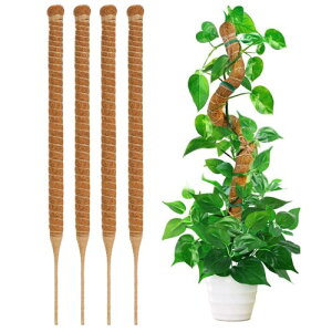 YOUSHY 4PCS |x ϗtAXe x wS鐫A RRXeBbN ێ {ێ RRibc_ K[fjOT|[g _Ɨp |p(64CM)