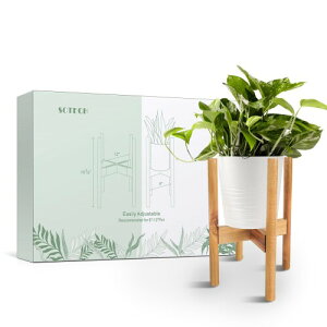 SOTECH t[X^h - _ȉ&Op Aؔ X^h ~bhZ`[ 肵AX^hz_[ ԑ (| 8-12C`)