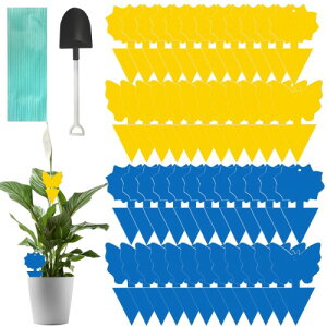 WD&CD ߒV[g 48 V[g nG Sgbv nG ԂƖ؂̊QߊlS ߂SV[g ʔS L ȒPt Aؔ  Ή z24+24i