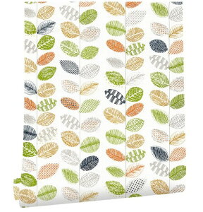 Juangfia ǎV[ t  ǎ h CNV[g Lb` ǎV[g JbeBOV[g tH[V[g DIY EH[ XebJ[ 6m