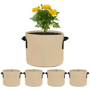 M METERXITY 5pbN vgO[obO3KO[obO300G n|bg ϋv nht AK[f|bg ʕ///Ap