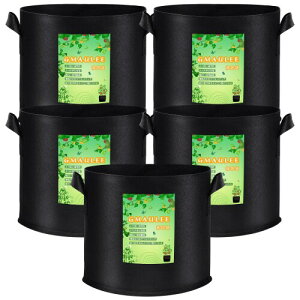 GMAULEE sDzv^[ ͔| z 5K5Zbg tFg A A琬  ʋC t ԍ͔| ؍͔| |ʕ͔|