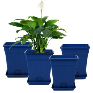 4̃vX`bNAؔi16Z`-gjAؔrEƃgCvX`bNAؔAA֐AT{ep ()