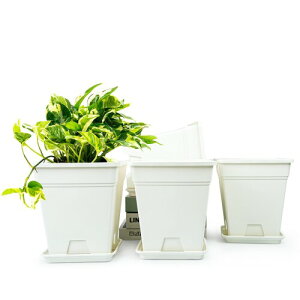 4̃vX`bNAؔi16Z`-gjAؔrEƃgCvX`bNAؔAA֐AT{ep ()