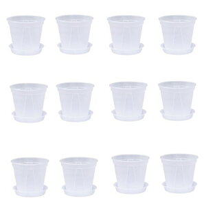 12(190~/)(3ނ̃TCYpӂĂ܂) MtAؔ v ϗtA (S)