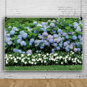 Qinunipoto wiz z Ԃ̔wi AWTC  1.8x1.2m ǂ̏ LOʐ^ rj[ ʐ^Be backdrop background Bewi BeV[g LOʐ^ wi ʐ^X^WI