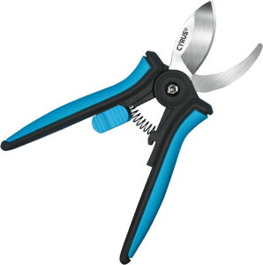 CYRUS 150mm  A Ȁ_炩sႢ}̙ɓKnT~