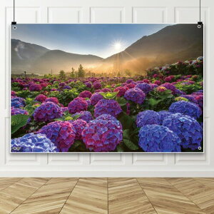 Qinunipoto wiz z 1.5x1m ̃AWTCBez ẲԕǊ| ꎺ LO ̓ Bep ʐ^wi X^WI Bez ʐ^ BeX^WIp  a p[eB[̑