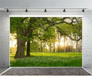 Qinunipoto wiz 傫Ȗ  ťiF Ő  3m x 2m Bez wi R̕i ʐ^wiz X̏t q̎ʐ^ Bep tHgX^WI ʐ^