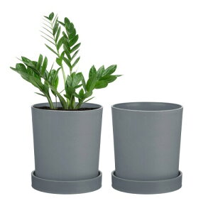 M METERXITY 2個セットの植木鉢 4.5"のプラスチック製花鉢 サボテン/多肉植物/小さな植物/家庭/庭園用の排水ホール付き 屋内植物用のプランター(グレー)