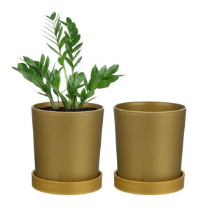 M METERXITY 2個セットの植木鉢 4.5"のドレン穴付きプラスチック製花ポット サボテン/多肉植物ポット/小さな植物/家庭/庭用 屋内植物用プランター(ゴ ールド)
