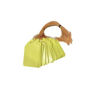 I[fBIt@ |px 100 F A l[v[g RnO^O ԒdEA̐A\ו̖D 6*4cm CG[