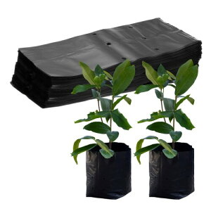 M METERXITY 100pbN̂Ȃ琬pobO 9.4" x 12.2"̌̃vX`bNȂ琬pobO WKC//g}g/A̎n܂/ƒ؉pi(u  bN)