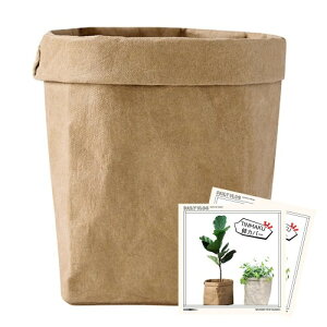 Jo[ AؔJo[ 􂦂Ntg ϗtA v^[Jo[  k  Vv CeA ؉ʕ[ p sp Lb`p (M (5j, uE)