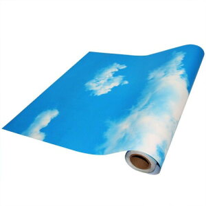 ǎV[(Ɣ_) 45cm×10m 60X5m ͂  ̂t C ւ diy V  h wallpaper (60cmX5m)