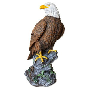 Revteds ̒uV 悯 Q΍  x_ JX XY Qb L  S~r炵 