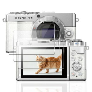OLYMPUS�J�����Ή� OM SYSTEM PEN E-P7 / E-PL10 / E-PL9 �p�� �t�B���� �K���X�t�B���� �w��h�~ �t�� �ی�t�B���� ���Ɏq�f�ސ� �d�x9H �����K���X �����ߗ� �C�A�[�� �����z�� �X�N���b�`�h�~ ��