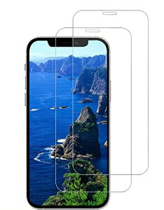 iPhone 11 / iPhone XR p KXtB iPhone 11 p tB  KX (2Zbg) dx9H ϏՌ ߗ Uh~ wh~ CA[ z \tȒP P[XɊȂ ACt