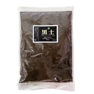 Y y 1L ƒ뉀|p {y ƒ؉ ԗp