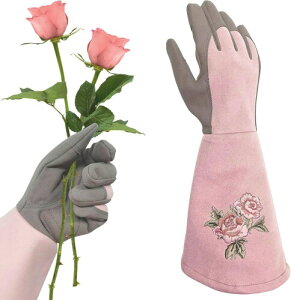 (WvaZephyrian) |  _  K[fO[u oO[u  o |pi K[fjO ϐh gQh~ hȂ Ɨp K[fjOpi (sN, L)