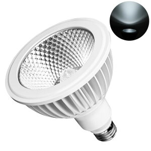 Pispoer A琬Cg, E26 v, 24WX|bgCg,tXyNg,F,LED琬d,r[p38x,n5800K (zCgnEWO)