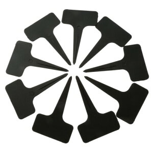 Dophee |x Ax vcl[v[g T^ A^O h |pi K[fjO Ďgp\ 100pcsij