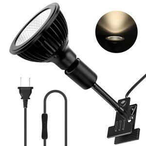 Pispoer NbvIACgA24WtXyNg琬dARa98F]Ar[p38°itN^[JbvOƃr[p120°܂Ŋg\jF4000KAubN