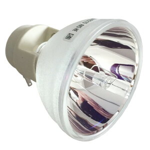 Rich Lighting vWFN^[ p v for BENQ xL[ 5J.JEE05.001 HT2050, HT3050, HT2150ST, W1110, W2000 Ή