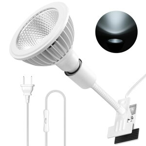 Pispoer NbvIACgA24WtXyNgPa38琬dARa98F]Ar[p38°itN^[JbvOƃr[p120°܂Ŋg\jAgFn5800KAz