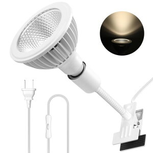 Pispoer NbvIACgA24WtXyNg琬dARa98F]Ar[p38°itN^[JbvOƃr[p120°܂Ŋg\jF4000KAzCg