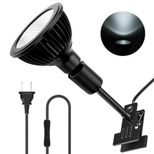 Pispoer NbvIACgA24WtXyNg琬dARa98F]Ar[p38°itN^[JbvOƃr[p120°܂Ŋg\jFn5800KAubN