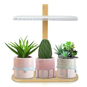 Luejnbogty LEDtXyNgCg 10W߉\ȑACg Ap 2H/4H/8H^C}[t 4̒\Ȗ邳ł܂܂ȐA̐ɑΉ